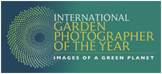 IGPOTYImagesOfAGreenPlanet