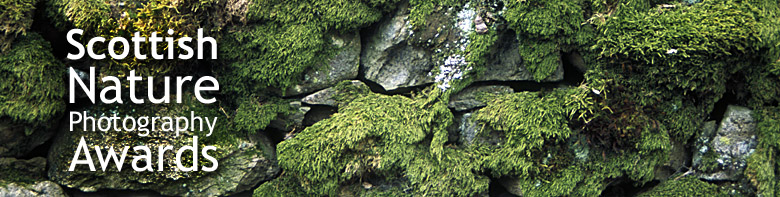Scottish Nature Photography Award banner